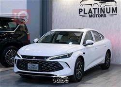 بي واي دي كوين L DM-i